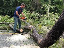Mulching Services in Clover, SC